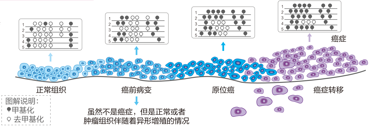 微信图片_20250121150142.png