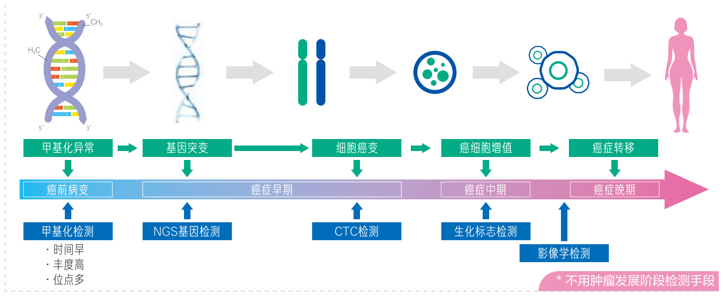 图片 5.png